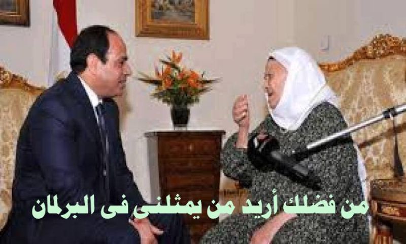 أشرف حلمي يكتب: دعوة للسيسى لتعيين ممثلين عن الأيتام والفقراء فى مجلس الشعب