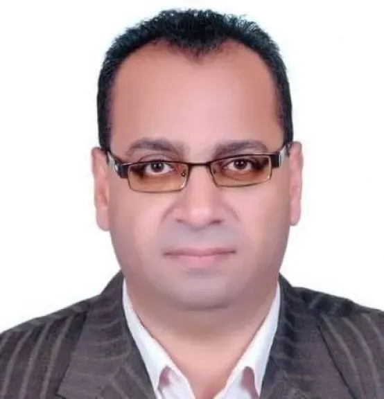 المصريون في أمريكا وكندا قوة ناعمة... كيف يمكن الاستفادة بها؟