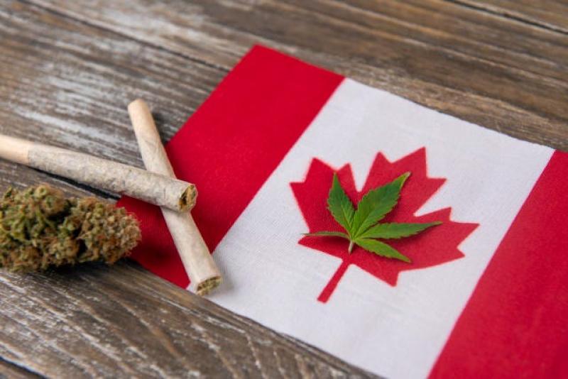 الحكومة ترفض طلب تورنتو بإلغاء تجريم حيازة كمية صغيرة من المخدرات