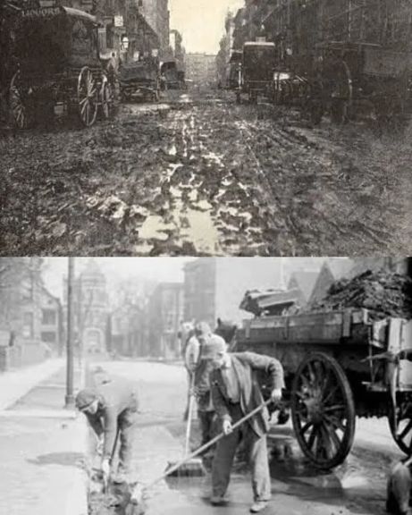 أزمة الروث الكبرى في نيويورك في عام 1894