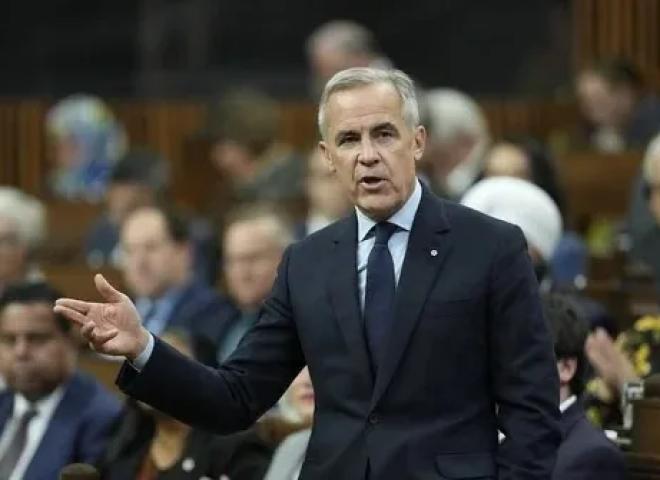 كارني يكشف تفاصيل دعم صناعة الصلب والخشب للرد على الرسوم الجمركية