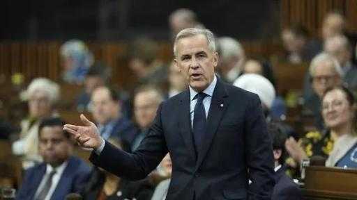 كارني يكشف تفاصيل دعم صناعة الصلب والخشب للرد على الرسوم الجمركية