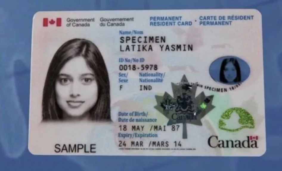 تغييرات جديدة على رخص القيادة في أونتاريو لمكافحة الاحتيال