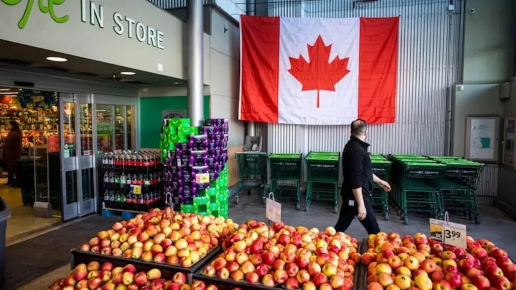 انطلاق برنامج «كندا لدعم البقالة والاحتياجات الأساسية» ... من المستفيدين؟ وكم تبلغ قيمة الدعم؟